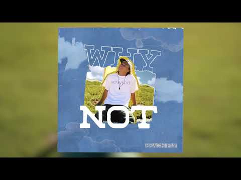 Beach Fly - Why Not (Official Audio)