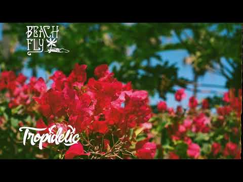 Beach Fly & Tropidelic  - Make it Work (Official Audio)