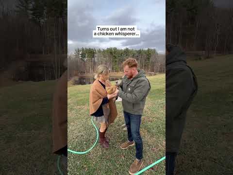 Chicken-1…Katie-0 #shorts
