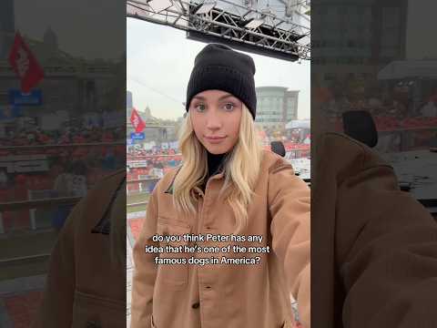 Most famous dog in college football!!! #shorts