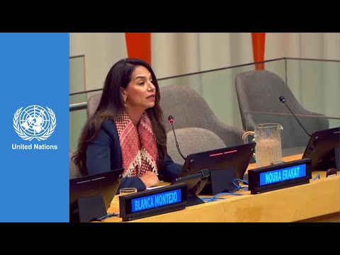 Noura Erakat Addresses the UN in Commemoration of the 77th Anniversary of the Nakba
