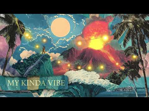 Iration - My Kinda Vibe (Official Visualizer)