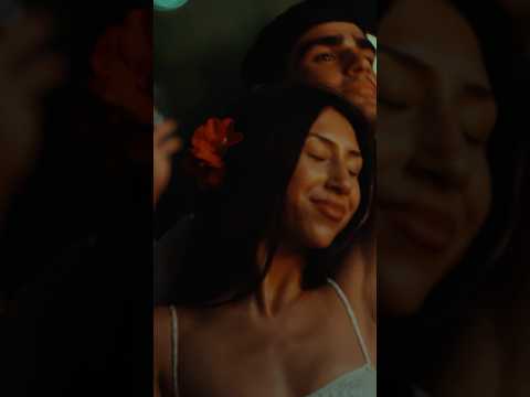 Never know what’s missing til it’s… Shoyu (Live) | Reggae Rise Up Florida 2026 #iration