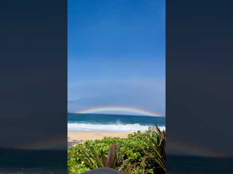 Anyone else love living on island time? 🌈🌈 #islandtime #iration