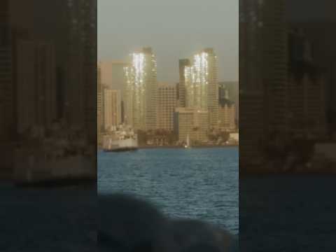 7 years of the 'City Life' music video! ⛰️🌊 #rebelution