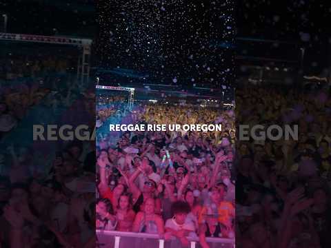 Reggae Rise Up Oregon brought the vibes! 🔥 #rebelution #livemusic #musicfestival #oregon