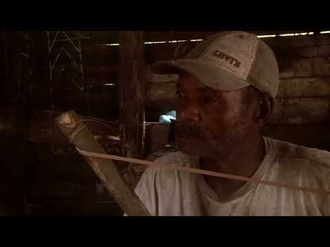 PAMPEI (Isla Grande, Colombia)
