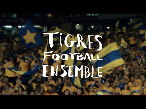 TIGRES FOOTBALL ENSEMBLE (Estadio Universitario, Monterrey, México)