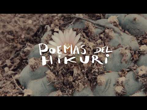 POEMAS DEL HIKURI (Saltillo, México)