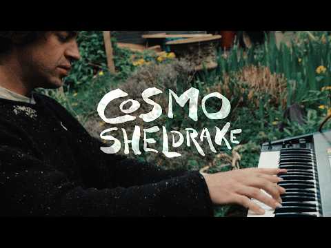 COSMO SHELDRAKE • Live at home (Gloucestershire, England)