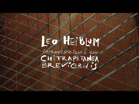 LEO HEIBLUM (Ciudad de México, 2023)