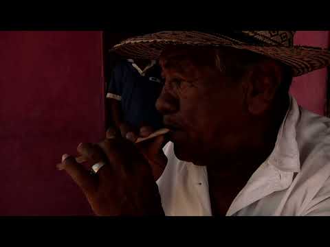 JORGE HENRIQUEZ ASHANA (La Guajira, Colombia)