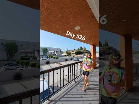 Day 526 in LA. In recovery mode after the festival. 😌🤙🏼