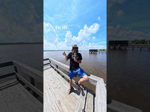 Day 592 on the Halifax River in Florida. 🐊 🦆
