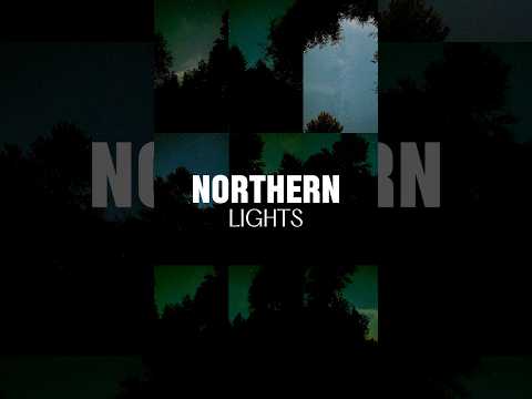 I drove into the Olympic forest to see the northern lights. Lesson learned. 🤣🤦‍♂️