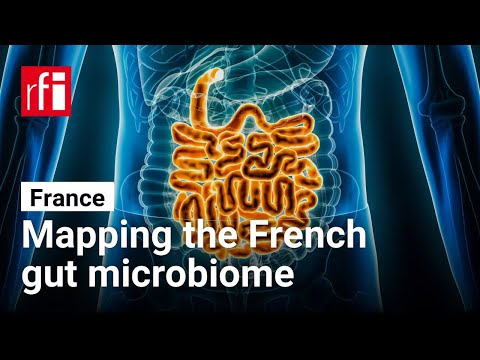 Mapping the French gut microbiome • RFI English