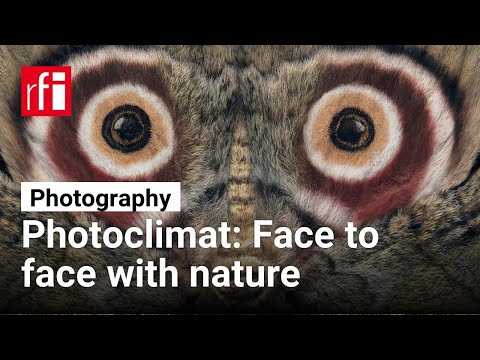 Tim Flach's strikingly beautiful animal portraits • RFI English