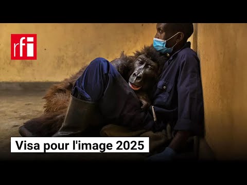 Photographer Brent Stirton documents Virunga's resilience as the park celebrates 100 years • RFI