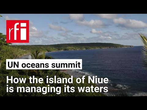 Niue, the tiny island selling the sea to save it from destruction • RFI English