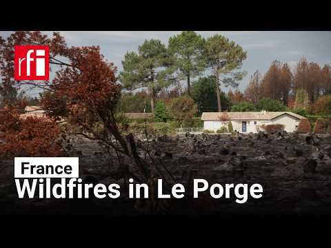 Le Porge to rethink local economy after wildfire destruction • RFI English