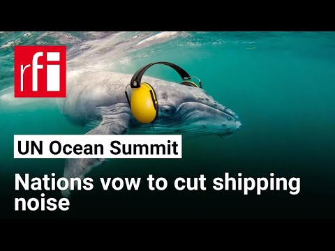 Nations vow to cut shipping noise to protect marine life • RFI English