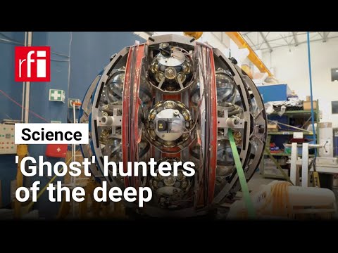 'Ghost' hunters of the deep: the giant telescopes beneath the Mediterranean Sea • RFI English