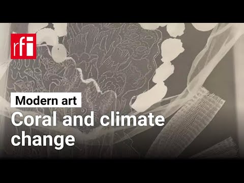 Martinique artist confronts the collapse of coral reefs • RFI English