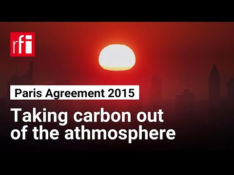 French scientists turn waste carbon into fuel using new catalyst • RFI English