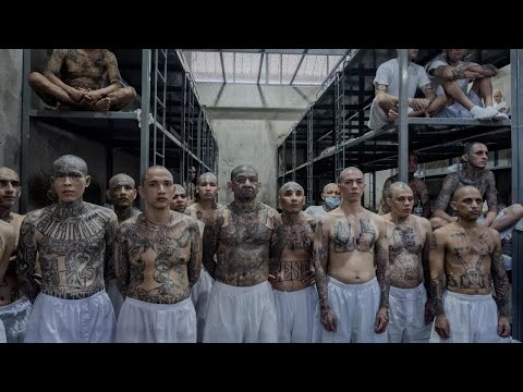 Inside El Salvador’s giant prison with photographer Juan Carlos • RFI English