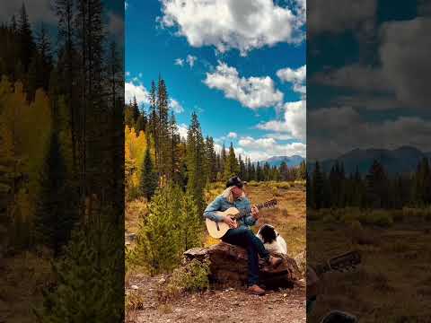 Sea of Dreams from high up in the aspens🌲 #thehipabduction
