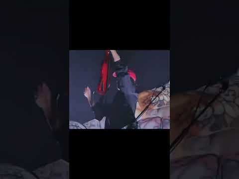 Les festivals cet été on va mourir mama