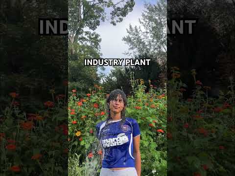 Salut la team le 3 oct je sors mon 1er album, ça s’appelle industry plant, sinon c’est pas drôle x)