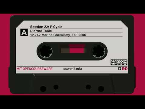 Session 22: P Cycle