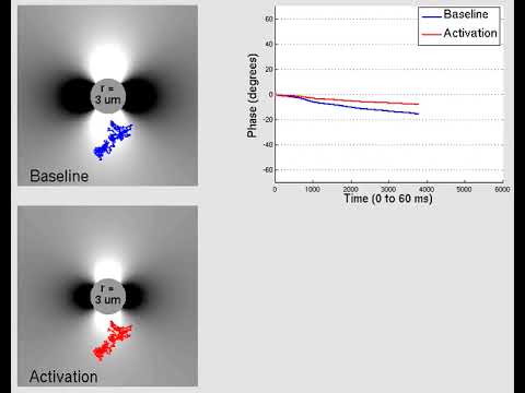 Small vessels: GRE (Supplemental diffusion videos for slides 24-27)