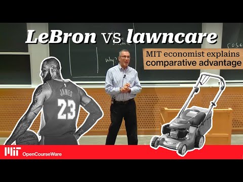 LeBron vs. Lawncare: Why It’s All About Trade-Offs