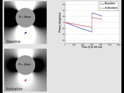 Large vessels: SE (Supplemental diffusion videos for slides 24-27)