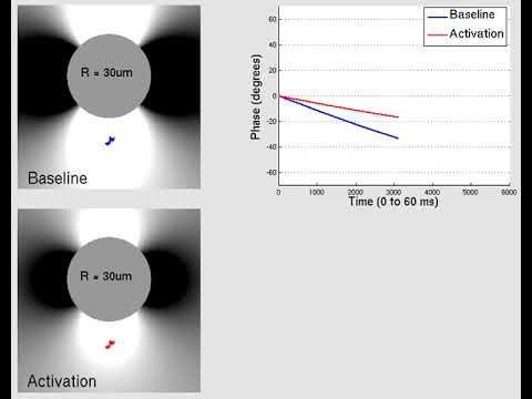 Large vessels: GRE (Supplemental diffusion videos for slides 24-27)