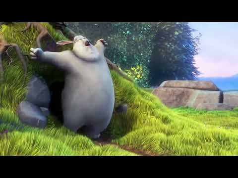 test_video.mp4