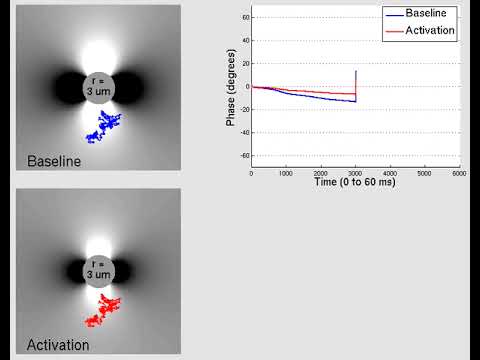 Small vessels: SE (Supplemental diffusion videos for slides 24-27)