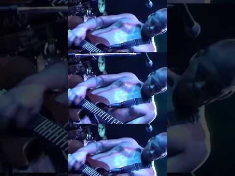 Gotta be a crazy, crazy, crazy, crazy fool… #sublime #livemusic #throwback