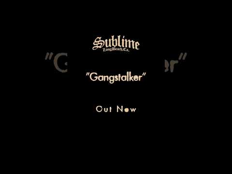 Gangstalker” OUT NOW 💥…one more for you to jam to before the album comes out June 12th!