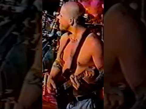 Tell me, are you a badfish, too? #1996 #lasvegas #concert #96