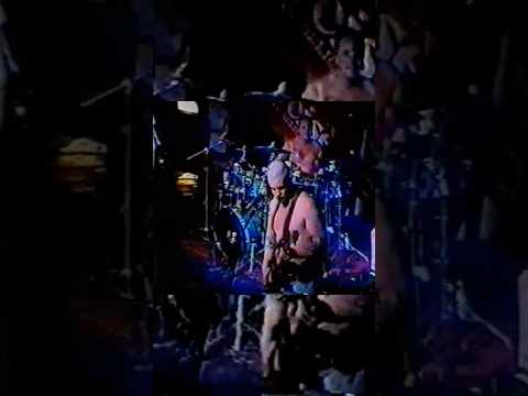 “Just remember it’s flesh and bone…” 🎶 Vegas, 3/4/96 #SUBLIME30