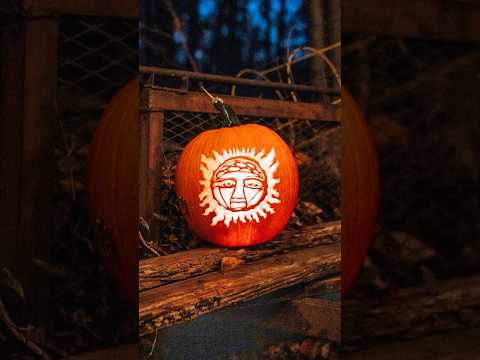 Happy Halloween from the LBC 🕸️🤙