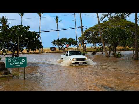 Hurricane Lowell Devastation (September 7 - 9, 2026)  4K HDR