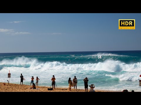 Pipeline Beach Cam 📹🏝️🌊 Raw Surfing Footage (November 27, 2025)  4K HDR