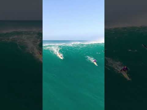 Luke Shepardson's Winning Wave at The Eddie Aikau 2023 #hawaii #bigwavesurfing