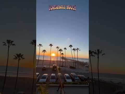 Have you heard our song CA Vibes? #shorts #cavibes #loveforthemusic