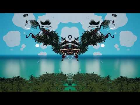 Fortunate Youth - What a Dream (Visualizer)