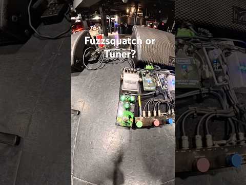 Fuzzsquatch or Tuner? What’s your choice?! 🎵